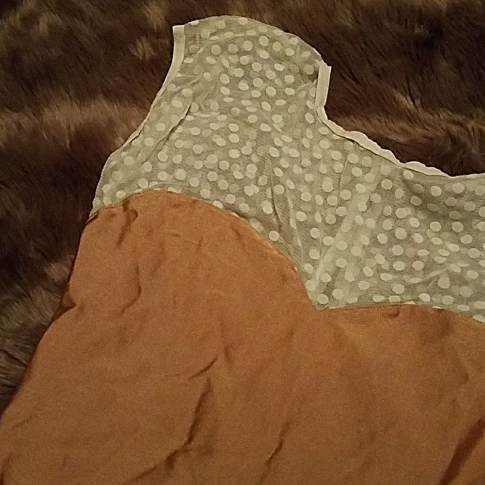 AA Spandex/Dotted Mesh Bodysuit
